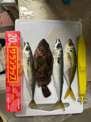 浜田港（島根）