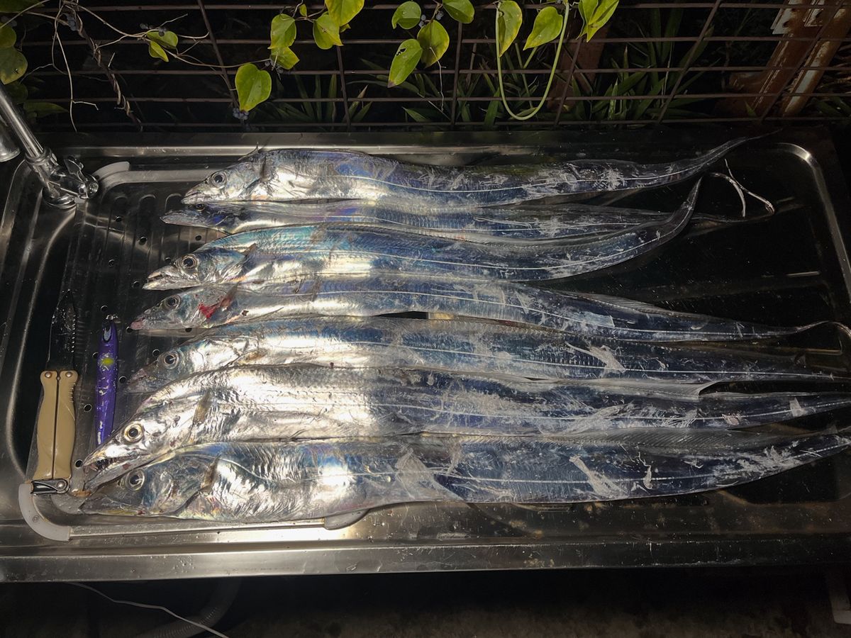 bono bonoさんの釣果 2枚目の画像