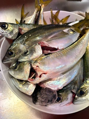 尼崎市立魚つり公園