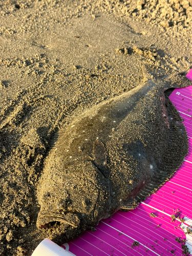 滝浜エメラルドビーチ