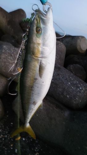 高瀬川河口（三沢）