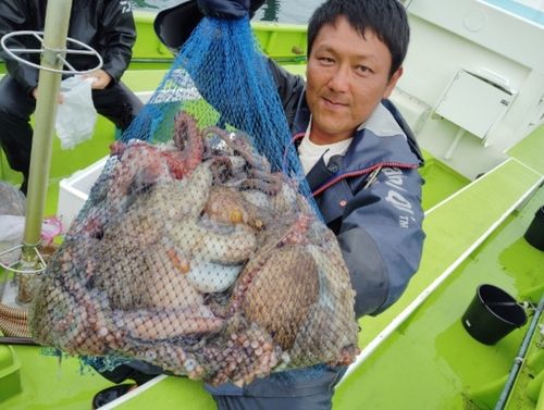 マダコの釣果