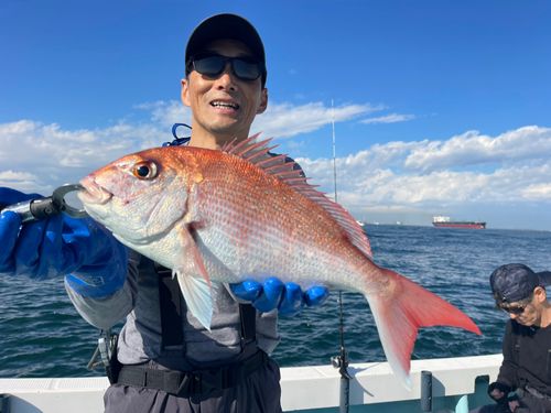マダイの釣果