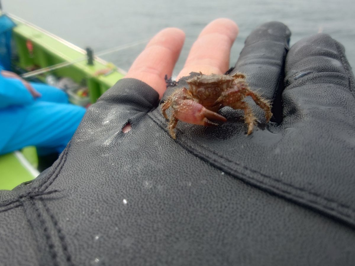 変態様さんの釣果 3枚目の画像