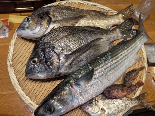 本牧海づり施設