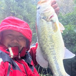 ラージマウスバス