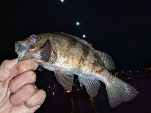 東部浄化センター（広島市）