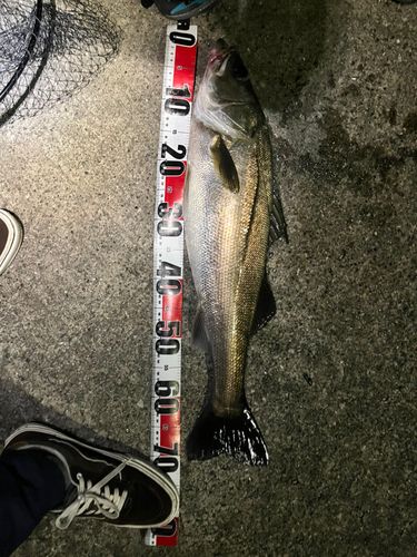 千葉港中央埠頭