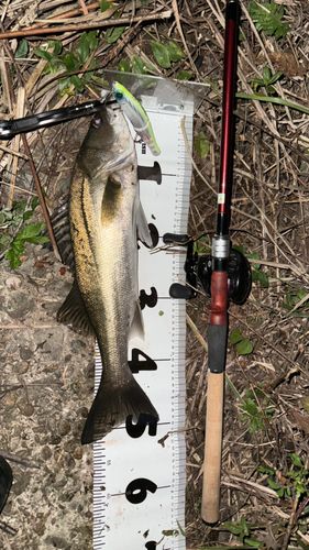 浜田港（島根）