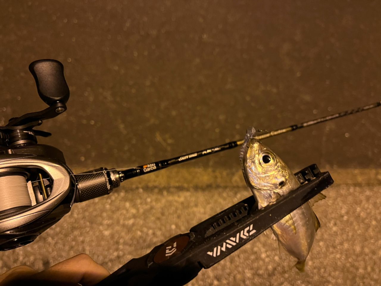 AbuGarcia ソルティーステージ・KR-X・ベイトフィネスカスタム SBFC