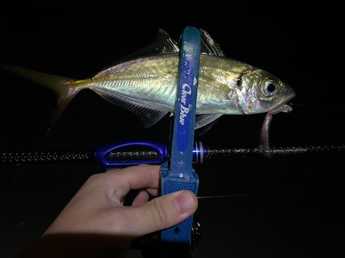 東京湾（アクアライン〜富津）