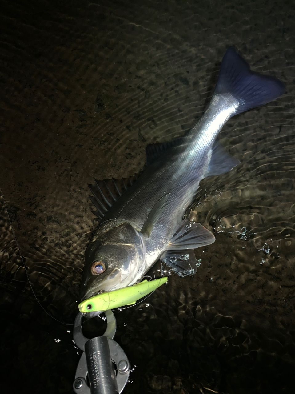 SHIMANO 21カルカッタコンクエスト 200HG RIGHTの最安値・インプレ