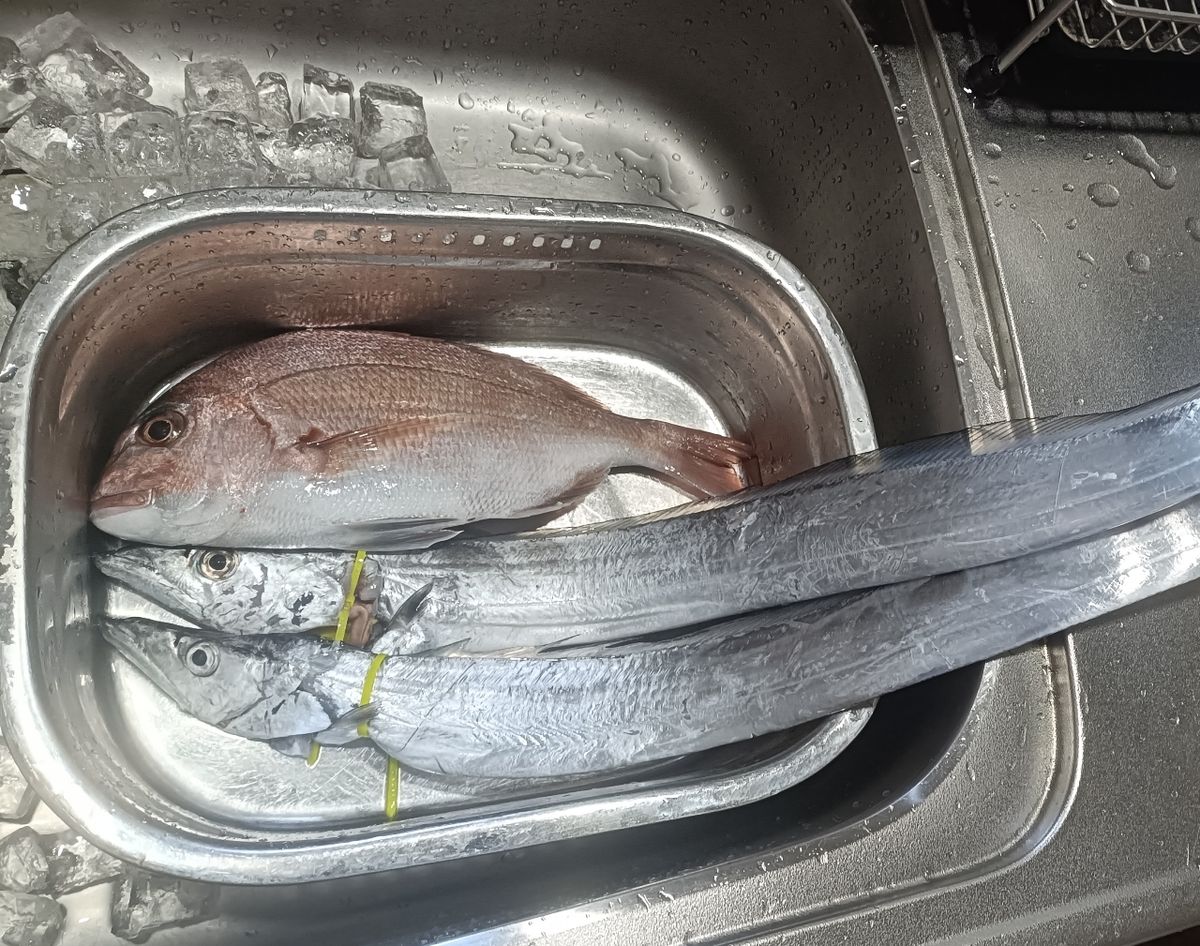 Akmbomさんの釣果 1枚目の画像