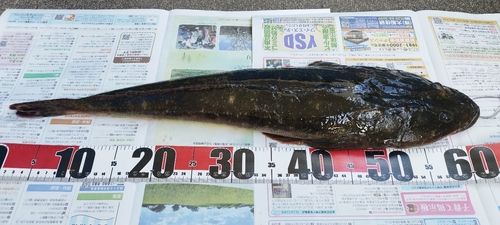 東京湾（アクアライン〜富津）