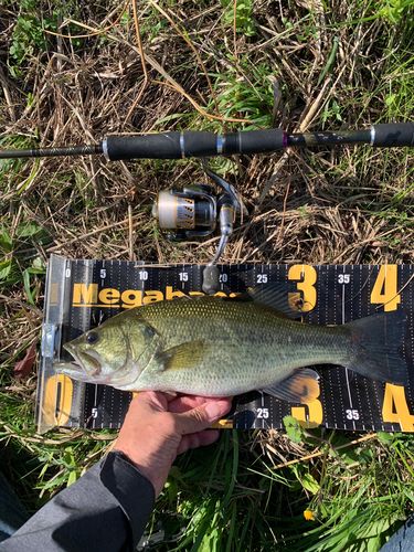 利根川渡良瀬川合流