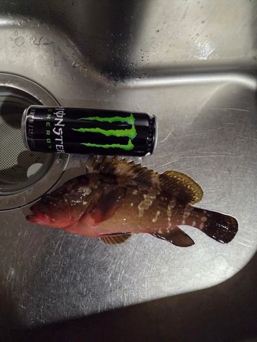 田之浦港（倉敷）