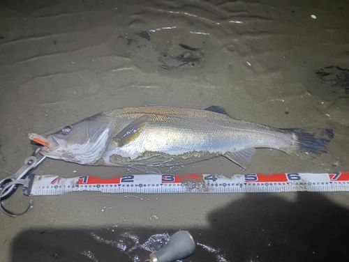 東京湾（アクアライン〜富津）