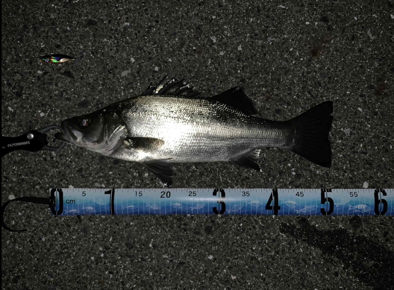 18ディアルーナ S100ML シマノ ディアルーナ S100ML (ロッド・釣竿) 価格比較 - 価格.com