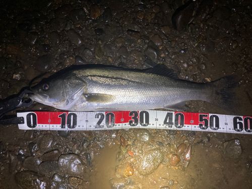 那珂川（茨城〜栃木）