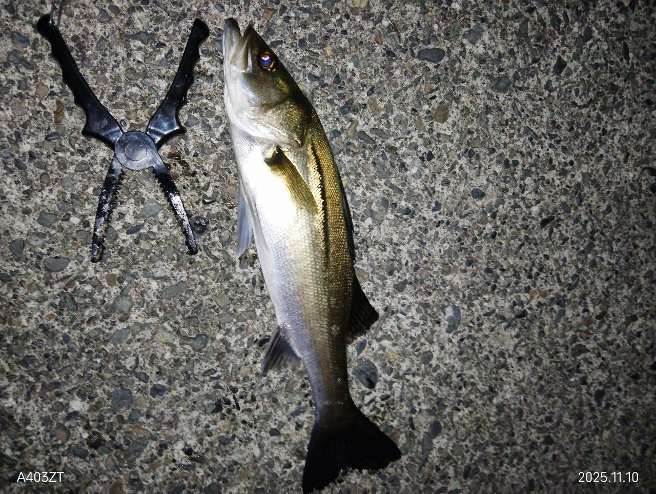 YAMAGA Blanks ブルーカレント TZ JH-Special 58/TZの最安値・インプレ