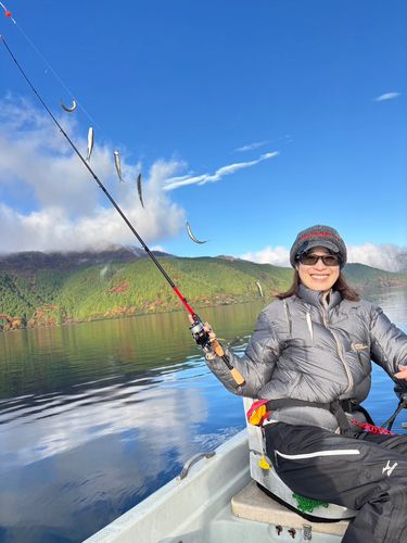 ワカサギの釣果