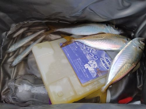 小名浜港アクアマリンふくしま周辺