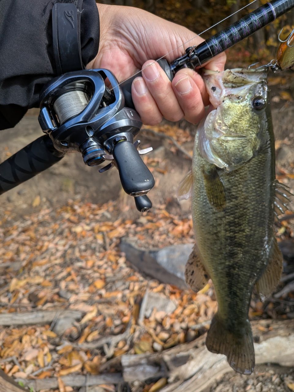 DAIWA 18ハートランド 752HRB-21の最安値・インプレ・釣果 | 本音の