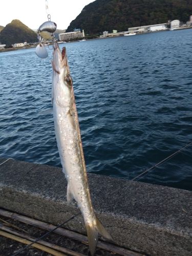 下田港（伊豆半島）