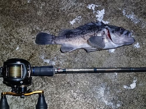 キラキラ公園（苫小牧西港）