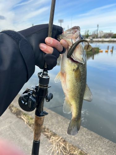 桜川河口（茨城）