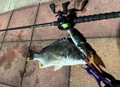 千葉港中央埠頭