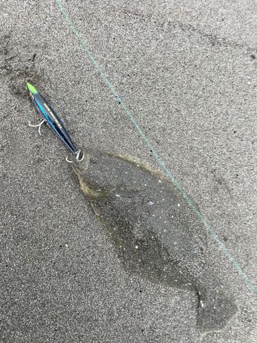 高瀬川河口（三沢）