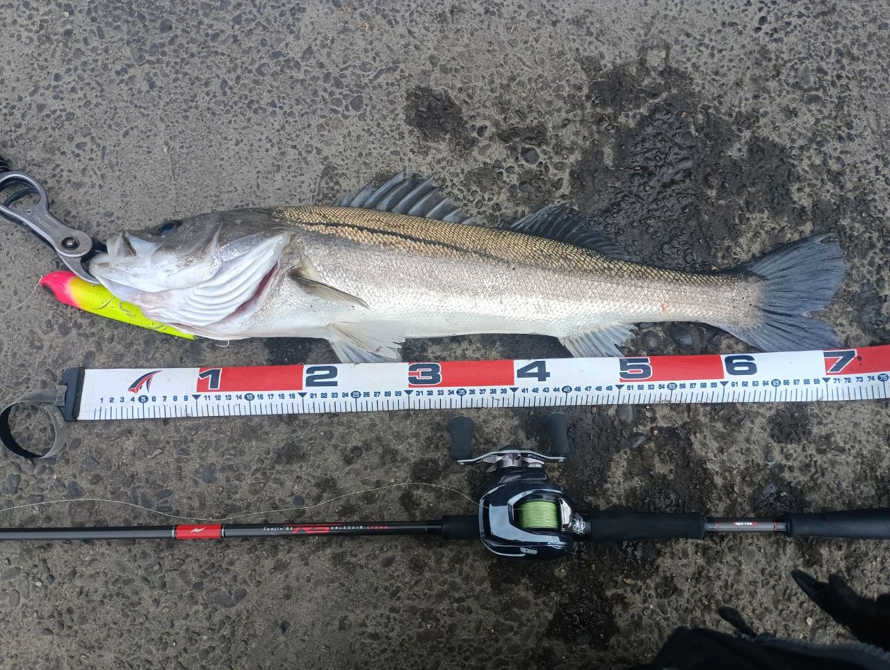 APIA 21フージン'RS C79MHの最安値・インプレ・釣果 | 本音の