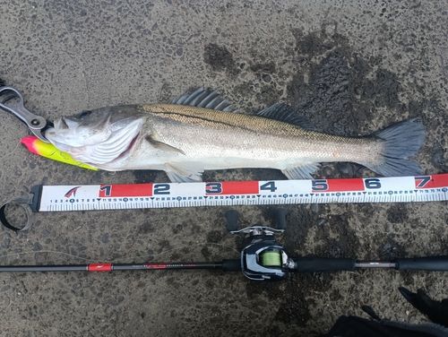 東京湾（アクアライン〜富津）