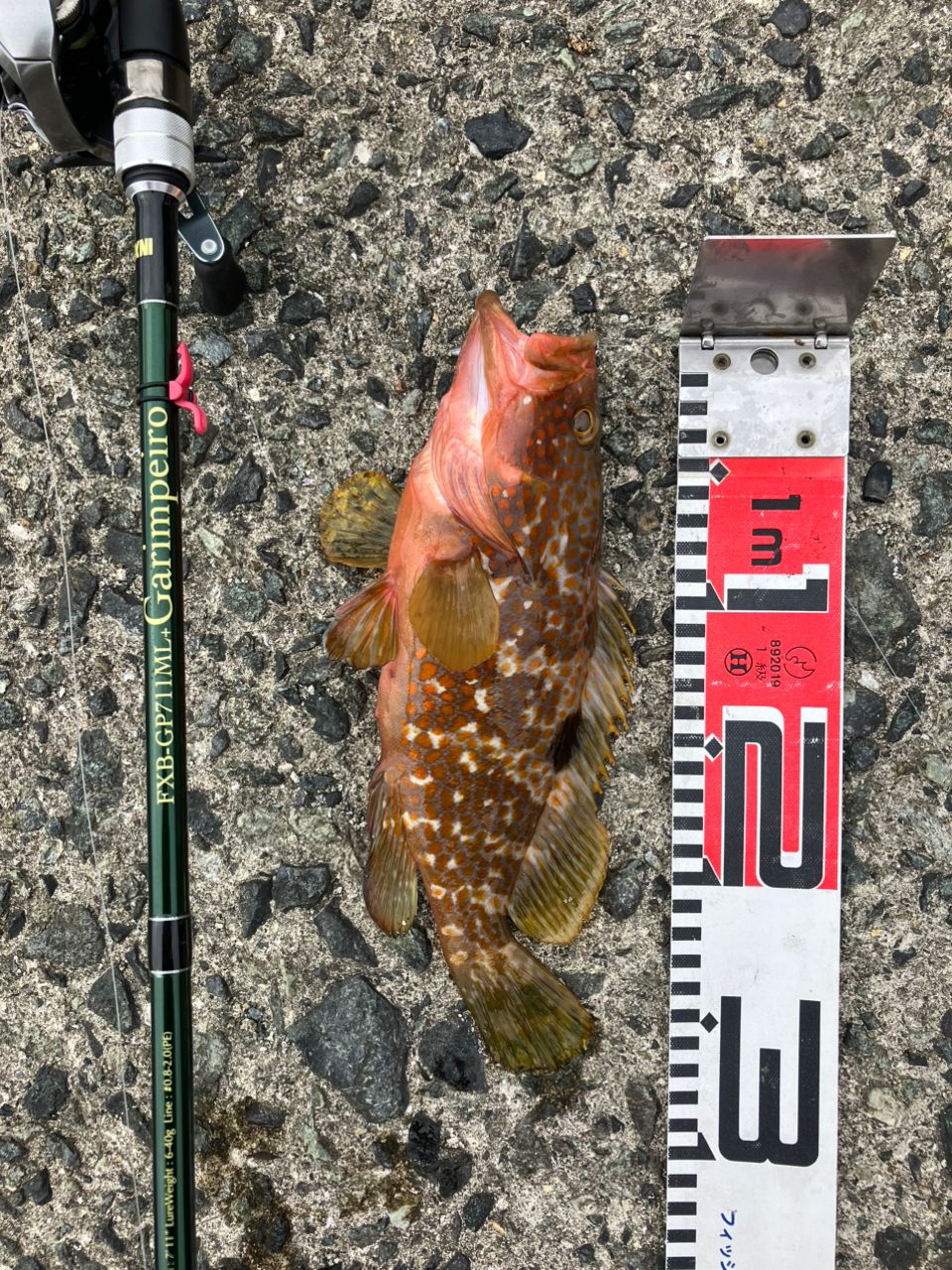 DAIWA 20ジリオン SV TW 1000XHの最安値・インプレ・釣果 | 本音の