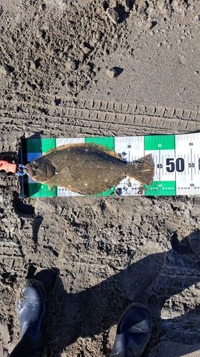 滝浜エメラルドビーチ