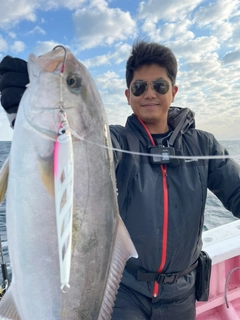 カンパチの釣果