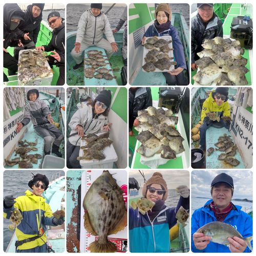 カワハギの釣果