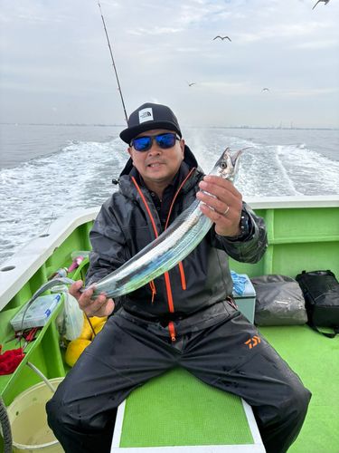 タチウオの釣果