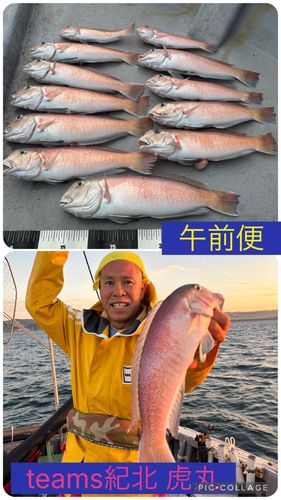 シロアマダイの釣果