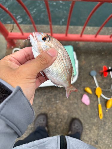 平磯海づり公園