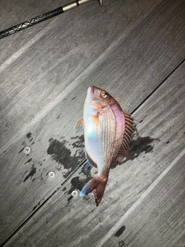 小名浜港アクアマリンふくしま周辺