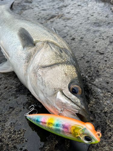 東京ゲートブリッジ付近