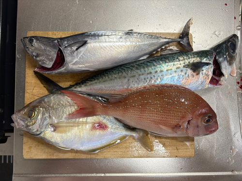 三ツ石（真鶴）