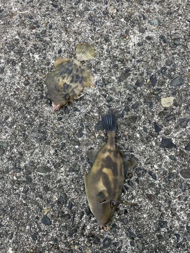 日吉原公共埠頭