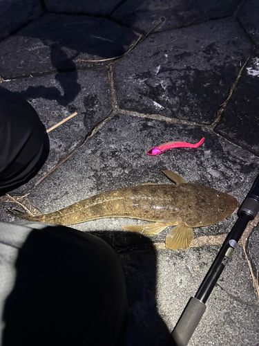 長良川揖斐川合流点