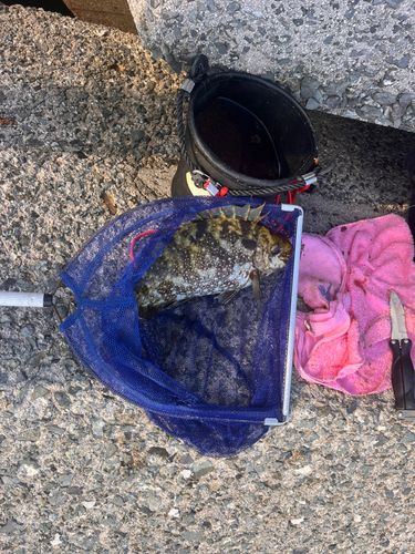 川尻漁港（長門）