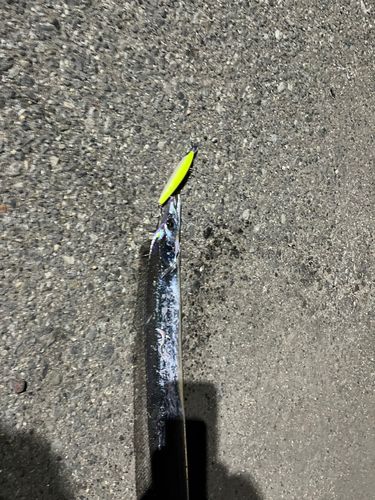 中央埠頭（博多湾）