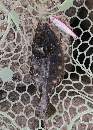 東京湾（アクアライン以北）