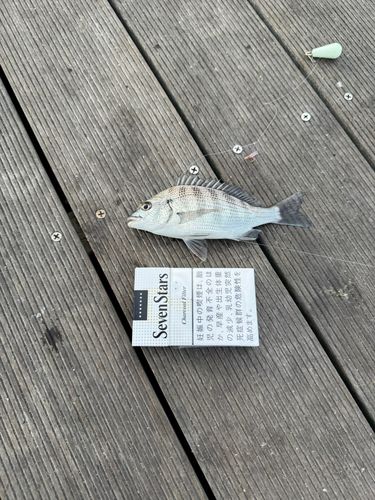 仙台港中央公園